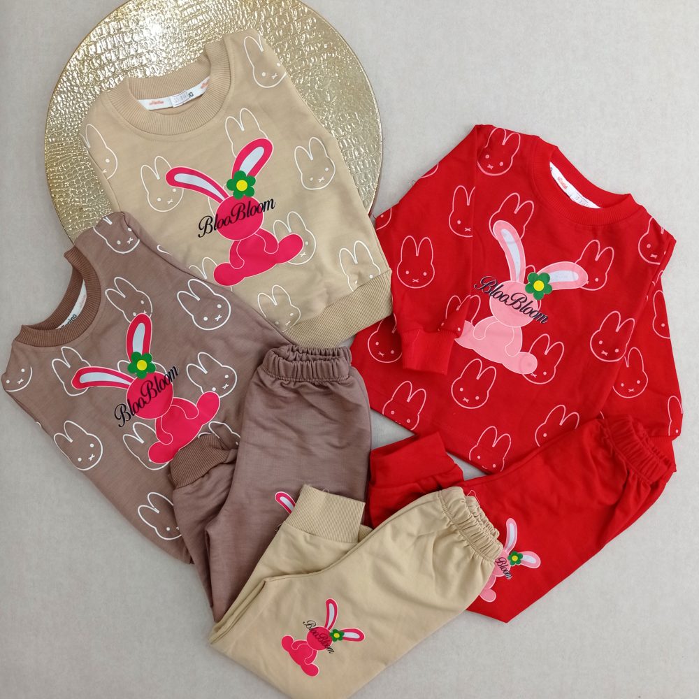 Girls' blouse and pants outfit suitable for ages 1 to 5 years (1)