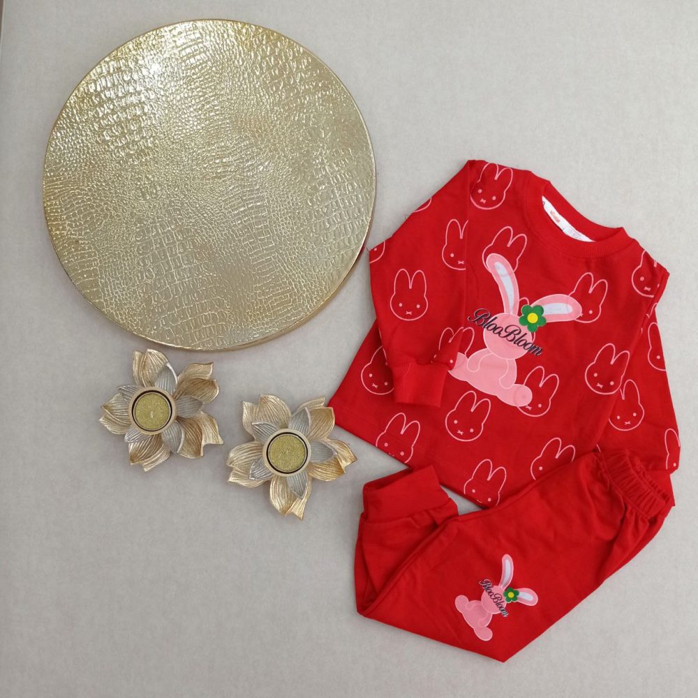 Girls' blouse and pants outfit suitable for ages 1 to 5 years (2) Girls' blouse and pants outfit suitable for ages 1 to 5 years