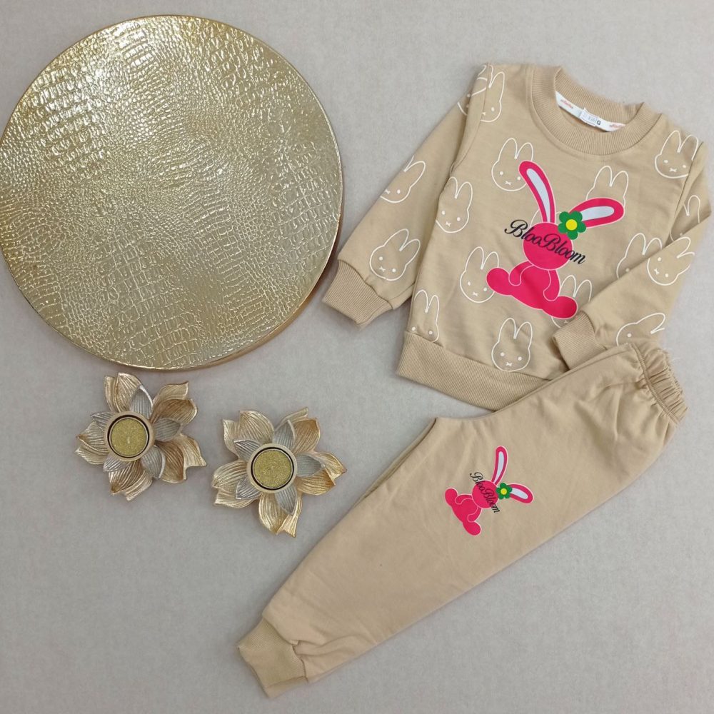 Girls' blouse and pants outfit suitable for ages 1 to 5 years (3) Girls' blouse and pants outfit suitable for ages 1 to 5 years