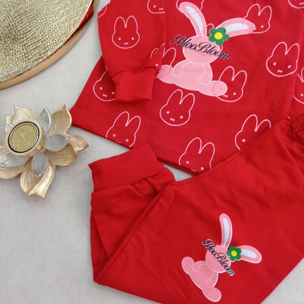 Girls' blouse and pants outfit suitable for ages 1 to 5 years (6) Girls' blouse and pants outfit suitable for ages 1 to 5 years