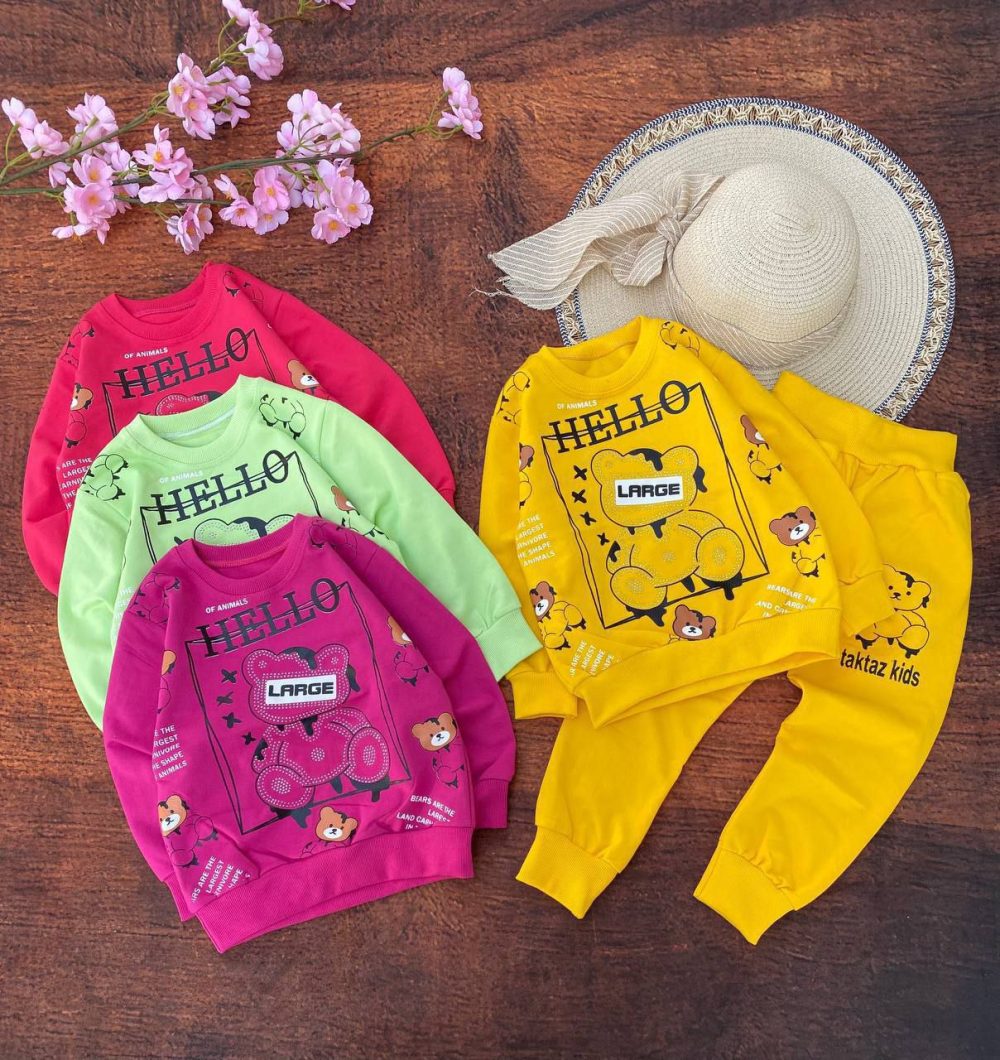 Girls' blouse and pants outfit suitable for ages 2 to 5 years (1)