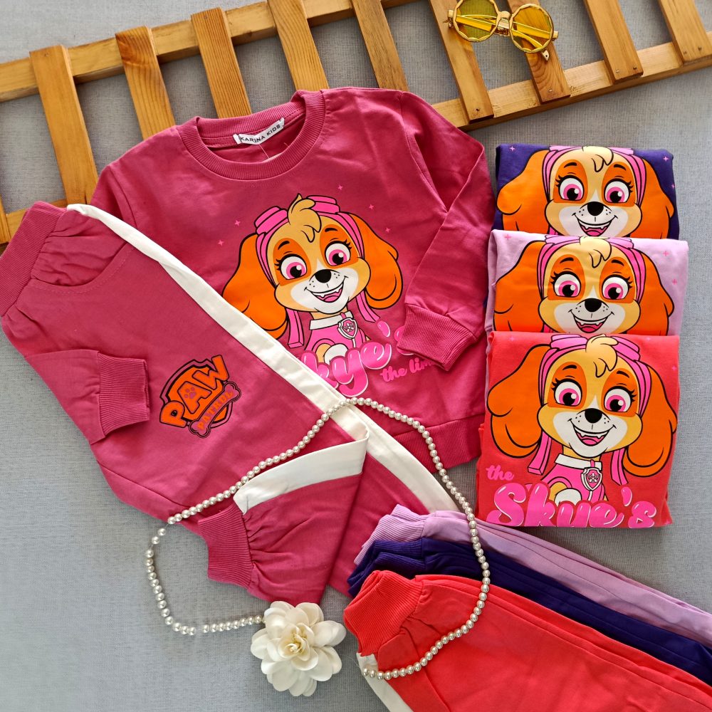 Girls' blouse and pants suitable for ages 3 to 5 years (1)