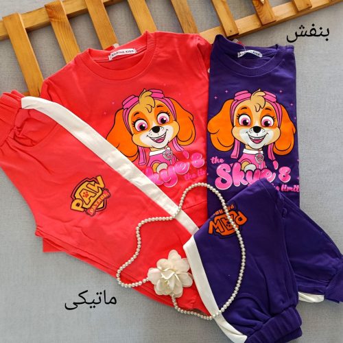 Girls' blouse and pants suitable for ages 3 to 5 years
