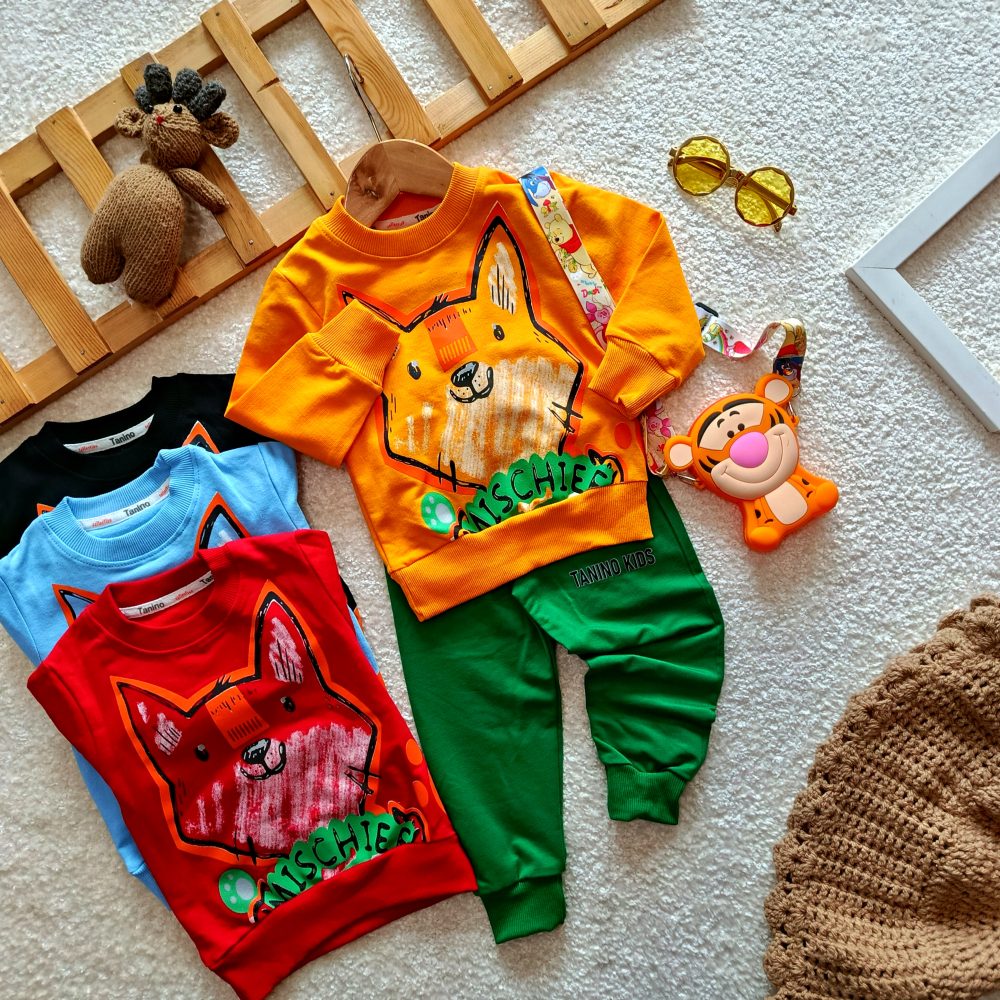 Boys' blouse and pants from 1 year to 5 years old (1)