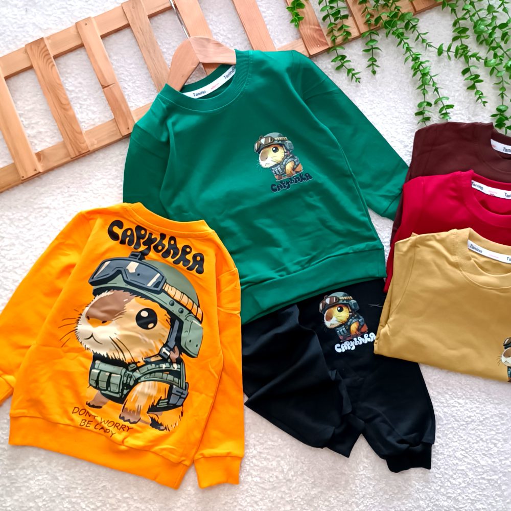 Boys' blouses and pants from size 40 to size 55 (1)