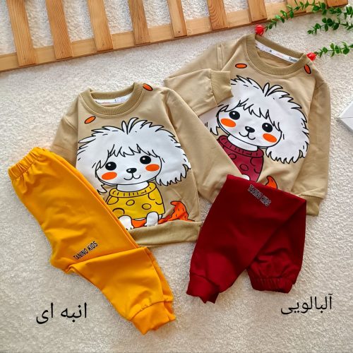 Girls' blouses and pants suitable for sizes 35 to 45