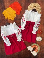 Girls' blouses and skirts suitable for ages 3 to 9 years old