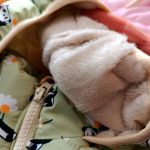 Puffer for girls and boys, suitable for sizes 40 to 55