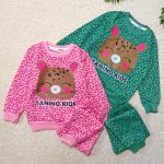 Girls' blouses and pants from 2 years to 5 years old