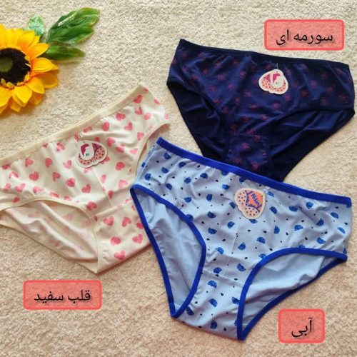 Women's shorts from size 36 to 48