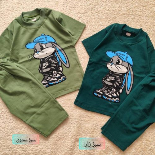 Boys' t-shirts and shorts, 2 to 9 years old