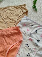Women's shorts from size 38 to 48