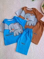 Boys' t-shirts and shorts from sizes 35 to 45