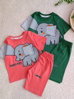 Boys' t-shirts and shorts from sizes 35 to 45