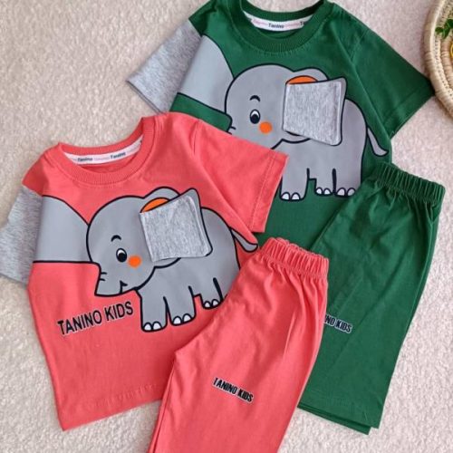 Boys' t-shirts and shorts from sizes 35 to 45