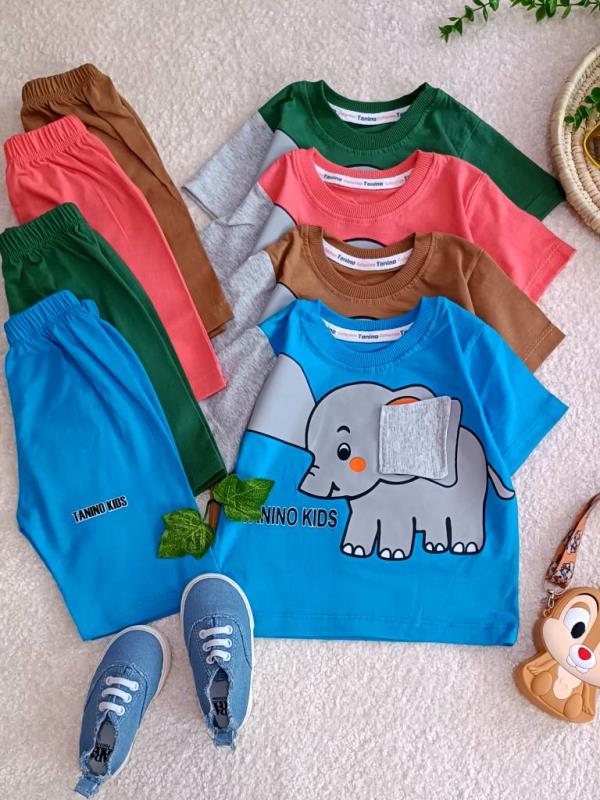 Boys' t-shirts and shorts from sizes 35 to 45 (8)