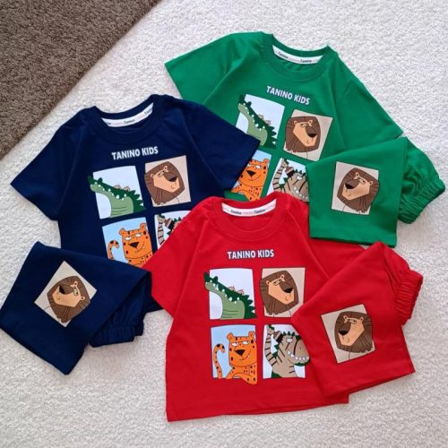 Boys' t-shirts and shorts from sizes 35 to 45