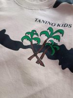 Boys' t-shirts and shorts from sizes 35 to 45