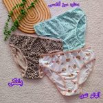 Women's panties, sizes 36 to 48