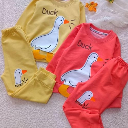 Girls' blouse and trousers, sizes 35 to 45