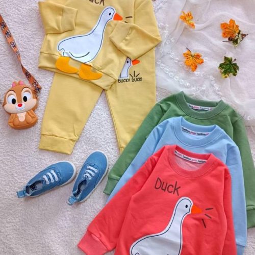 Girls' blouse and trousers, sizes 35 to 45